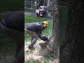 Cutting tree first part