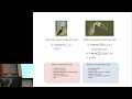 Karl Friston: Active inference and artificial curiosity