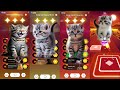 CUTE CATS WEEKEND DANCING FOR BINDING LIGHTS, SHAPE OF MEOW, BTS DYNAMITE & CHAINSMOKERS CLOSER!