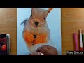 Drawing Squirrel 🐿️| m abhisek art