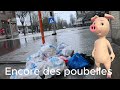 Bruxelles CITY, petite balades dans les rues de Schaerbeek, poubelles, voiture sur le trottoirs 🤬🤬🤬🤬