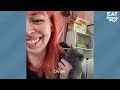 Picky Kitten Refuses To Give Up His Bottle | The Dodo Cat Crazy