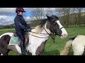 EASTER SHOWJUMPING FUN and Easter Hack.