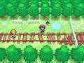 Pokemon Black/White Relaxing Music For 1 Hour