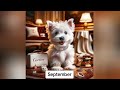 your month your designer dog #1|your month your compilation|pick your birthday month| Twilight Trend