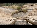 Gila Cliff Dwellings Tour:  Walk Through Amazing 700-Year-Old Ruins in New Mexico