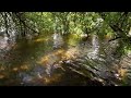 4k Mountain River flowing in Albania theth  Relaxing River, White Noise, Nature Sounds for Sleeping