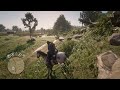 Poor horse RDR2 online