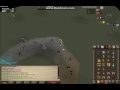 1000 Zulrah Kills