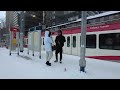 2024 -46° Wind Chill Extreme Cold Walkaround at Calgary, Alberta Canada 🇨🇦