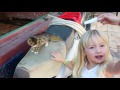kittycat and her kitten friend Turkey 2015