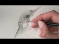 Watercolour bird | ASMR Silent vlog no music | watercolor