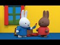 Dad and Miffys Day Out | Miffy | Sweet Little Bunny | Full Episodes