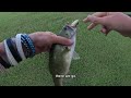 If you want to catch BIG fish on topwater frogs, WATCH this video!