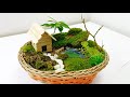 How to make moss garden | miniature moss garden