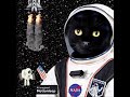 1623) Ai Black Cat Astronaut in Space