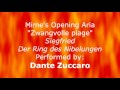 Dante Zuccaro sings 