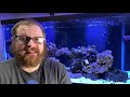 Adding Most Colorful Saltwater Fish To Re Scaped Reef Fish Tank