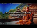 PROVEN✅- REMOVE these 5 THINGS from Your Home Immediately | Buddhist Teachings | ZenSpark