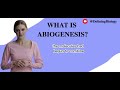 What is Abiogenesis?