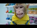 KiKi Monkey play Biggest Rainbow Ice Cream Challenge at swimming pool with Duckling|KUDO ANIMAL KIKI