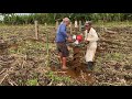 Using Earth Auger to expedite the excavation