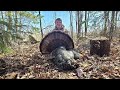 Spring Turkey Hunting 2024! (Big Tom Down)