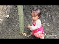 A single mother was shown a place to build a house by a kind man - Lý Thị Hoa Mai