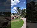 Walking along the boardwalk of the cove at Aulani