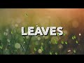 Leaves by Ben&Ben Short Cover | Chris De Ocampo