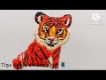 Tiger Hand embroidery 🐅 | Tips world embroidery 🧵