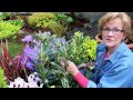 How to use  Evergreens! The foundation to your Garden/Garden Style nw