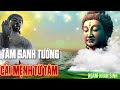 TÂM SINH TƯỚNG - CẢI MỆNH TỪ TÂM - NGẪM NHÂN SINH