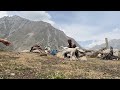 Miyar Valley - Hidden and Most Beautiful Tourist Place in Lahaul, Himachal Pradesh