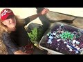 HOW to Make FREE Compost, Bury Kitchen Scraps & MORE in Garden, EASY Method for Epic Gardening Soil