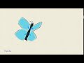 Animation | Flying butterfly