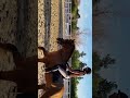 Budli n Jen practicing a dressage test in LaCresta Ca.