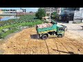 Full Processing Filling Up The Land huge Bulldozer KOMATSU, Dump Truck Unloading