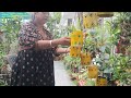 बेकार पड़े डिब्बों से बनाया beautiful hanging planter ( कबाड़ से जुगाड) ☘️☘️❤️