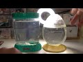 RAISING SEAMONKEYS & AQUA DRAGONS