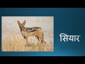 Animals and Birds in Hindi - Sreekar