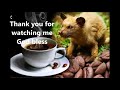 BID Coffee Barista Jerahmeel M. Ferrer KOPI LUWAK COFFEE