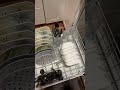 How to Clean Melted Plastic in Your Dishwasher safely