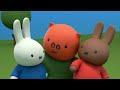 Miffy Falls Over! | Miffy | Miffy's Adventures Big & Small
