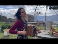 Calabrisella mia eseguito da Maria Vita #folk #musica #organetto