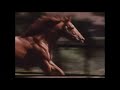 Secretariat Tribute - R.I.P Big Red