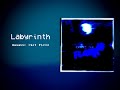 Labyrinth - ミラクルミュージカル | Florx Cover