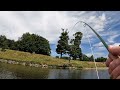 Salmon fishing - River Tweed June 2022