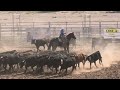 Youth Team Sorting - 2023 West Texas Youth Ranch Rodeo | Saturday (Censored)