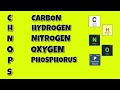 Periodic Table | EASY Mnemonic to Help Memorize the Elements | Chemistry